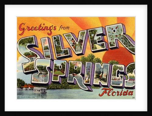 Greeting Card from Silver Springs, Florida by Anonymous