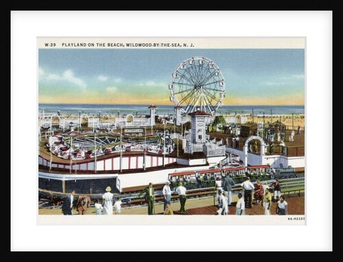 Playland Amusement Park by Anonymous