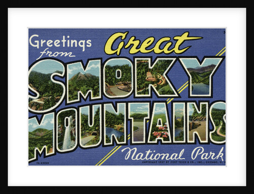 Greeting Card from Great Smoky Mountains National Park by Anonymous