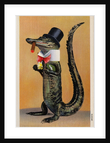 Postcard of Alligator in Top Hat and Bow Tie by Anonymous