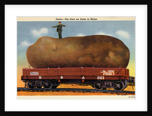 Giant Potato on a Train Car by Anonymous