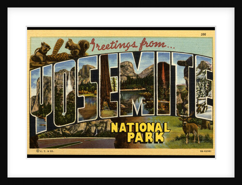 Greeting Card from Yosemite National Park by Anonymous