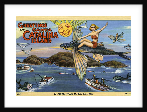 Greeting Card from Santa Catalina Island by Anonymous