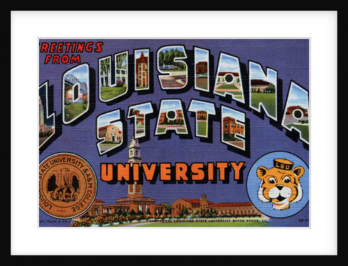 Greetings from Louisiana State University Postcard by Anonymous