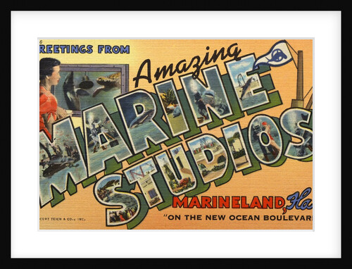 Greeting Card from Marineland by Anonymous