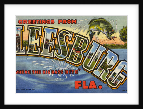 Greeting Card from Leesburg, Florida by Anonymous