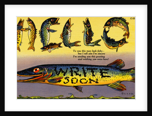 Fish Greeting Card by Anonymous