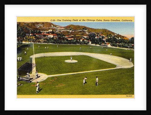 Training Field for the Chicago Cubs by Anonymous