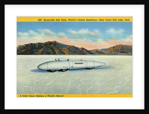 Racer at the Bonneville Salt Flats by Anonymous