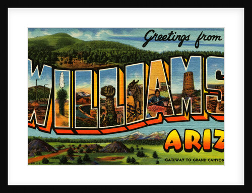Postcard of Williams, Arizonas by Anonymous