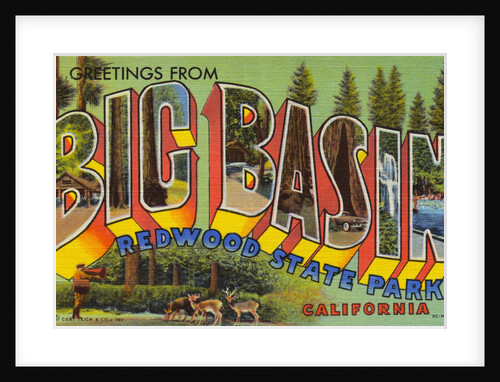 Postcard of Big Basin, Redwood State Park by Anonymous