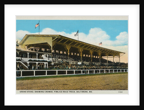 Postcard of Grand Stands at Pimlico Race Track by Anonymous