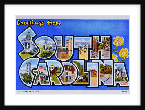 Postcard of Greetings from South Carolina by Anonymous