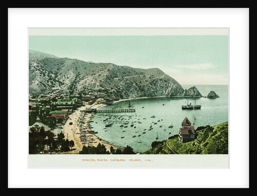 Avalon, Santa Catalina Island Postcard by Anonymous