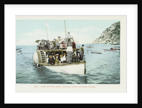 Glass Bottom Boat, Avalon, Santa Catalina Island Postcard by Anonymous