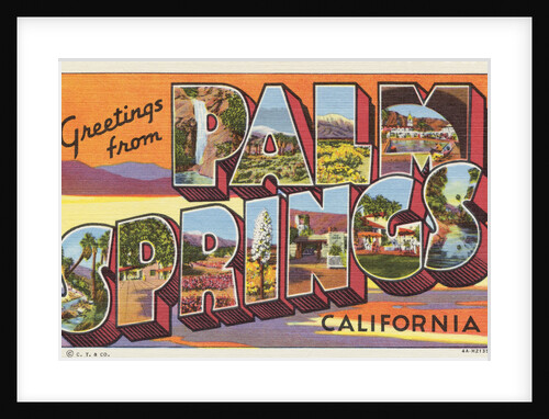 Greetings from Palm Springs Postcard by Anonymous