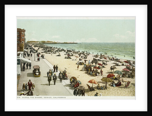 Along the Shore, Venice, California Postcard by Anonymous