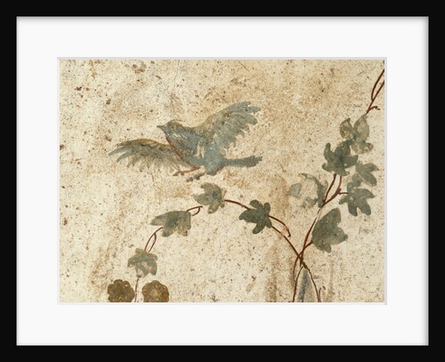 Detail of Roman Fresco Series at Oplonti Villa by Anonymous