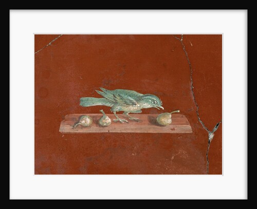 Detail of Roman Fresco Series at Oplonti Villa by Anonymous