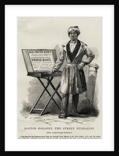 Doctor Bokanky, Street Herbalist by Anonymous