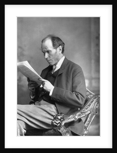 English Novelist James Payn by Anonymous