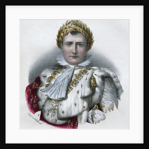Napoleon by Anonymous