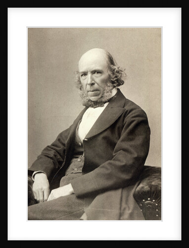 Philosopher Herbert Spencer by Anonymous