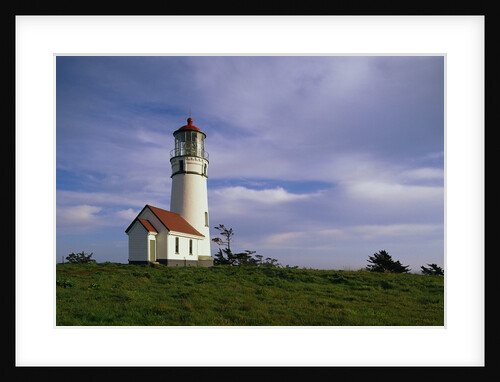 Cape Blanco Lighthouse by Anonymous