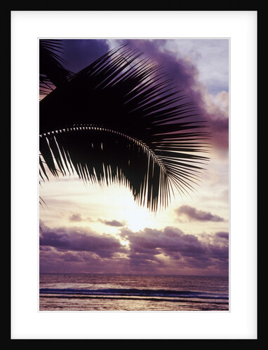 Sunset in Rarotonga by Anonymous
