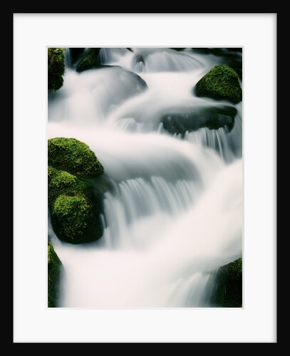 Water cascading - Oregon by Anonymous