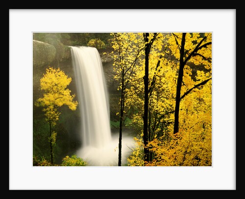 South Silver Falls in autumn - Silver Falls State Park, OR by Anonymous