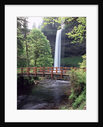 Silver Falls State Park - Oregon by Anonymous