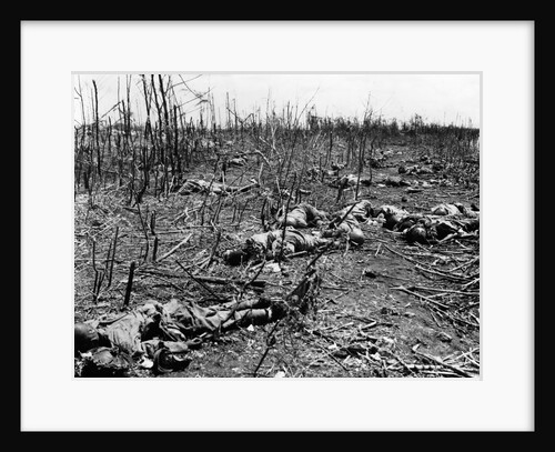 Japanese Casualties in a Field by Anonymous