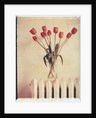 Vase of Tulips on a Radiator by Anonymous