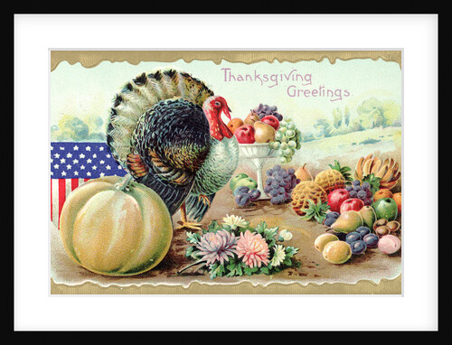 Thanksgiving Greetings Postcard with a Turkey and Fruit by Anonymous