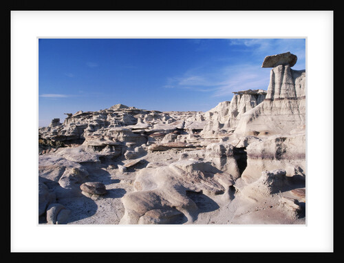 Desolate Canyon of Bisti Wilderness Area by Anonymous