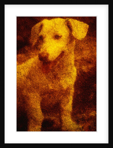 Dog by Andre Burian