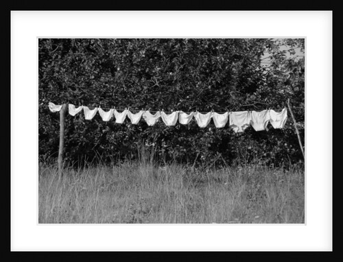 Underwear Hanging to Dry by Anonymous