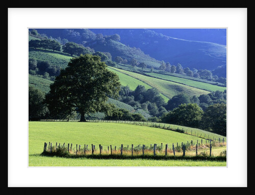 Pays Basques Countryside by Anonymous
