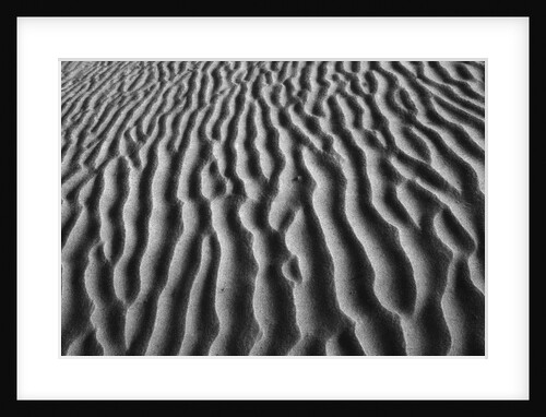 Windblown Dunes in Death Valley by Anonymous