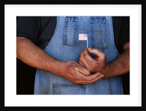 Man Holding Small American Flag by Anonymous