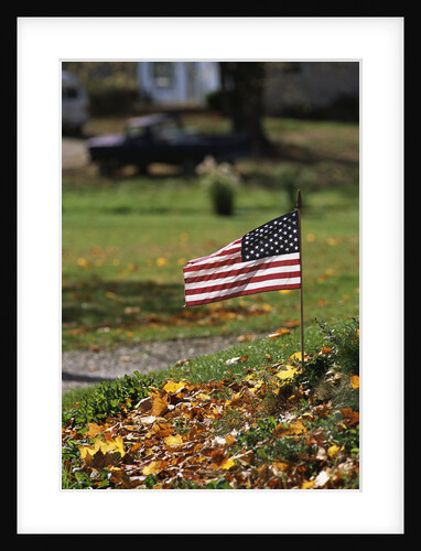 Small American Flag Posted in Yard by Anonymous