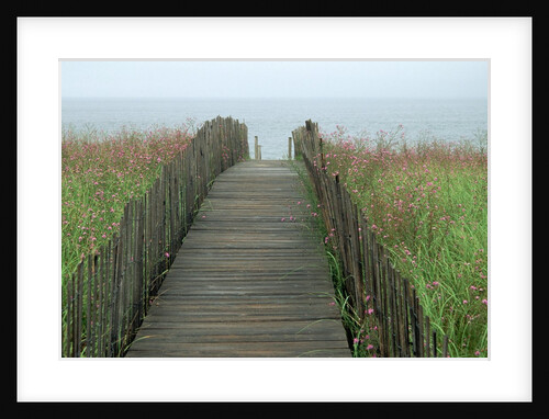 Wooden Walkway to Beach by Anonymous