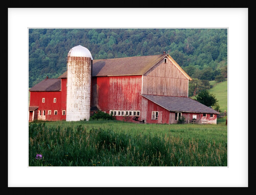 Older Barn With Silo in Lush Greenery by Anonymous