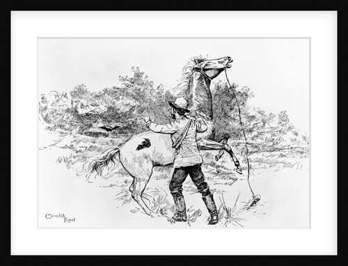 Charles Darwin Making Discovery by Anonymous