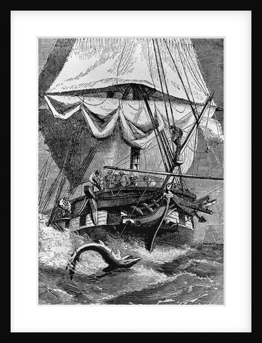 Crew of Charles Darwin's Ship Shark Fishing by Anonymous