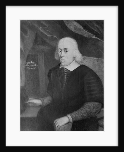 English Physician William Harvey by Anonymous