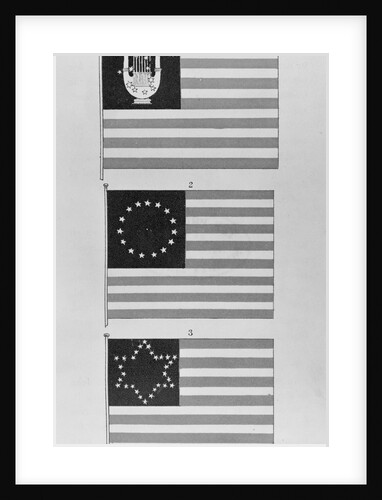 Display of Flags by Anonymous
