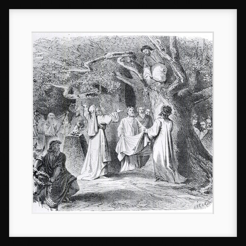 Illustration of Druid Throwing Mistletoe by Anonymous
