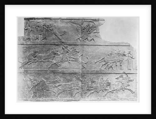 King Ashurbanopal Hunting Lions by Anonymous